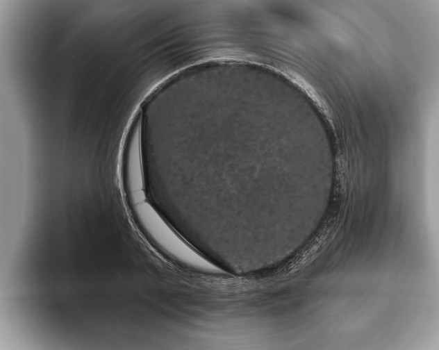 X0000093400791200710190923