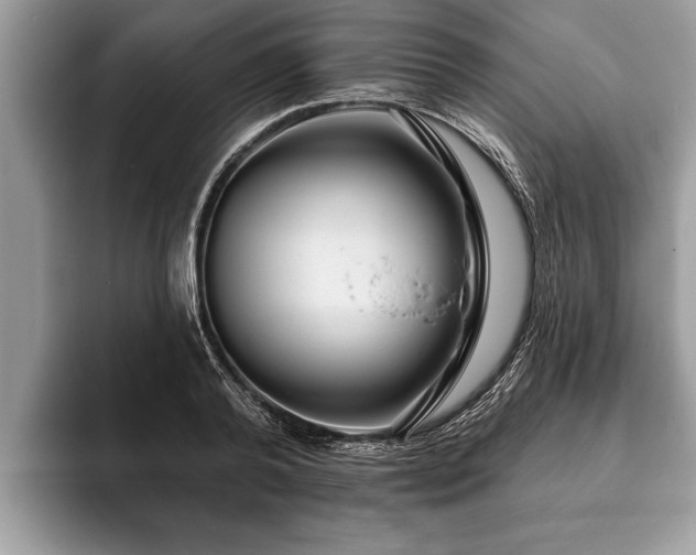 X0000093400792200710190923