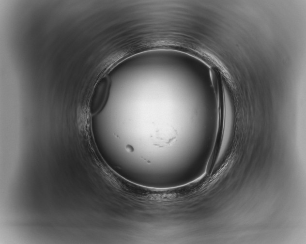 X0000093400793200710190923