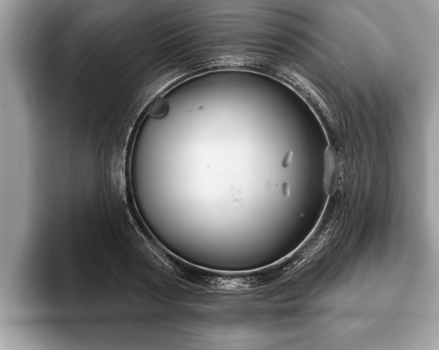 X0000093400794200710190923