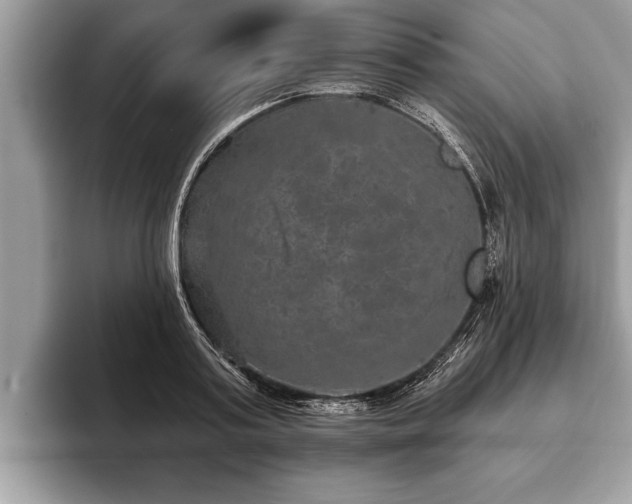 X0000093400795200710190923