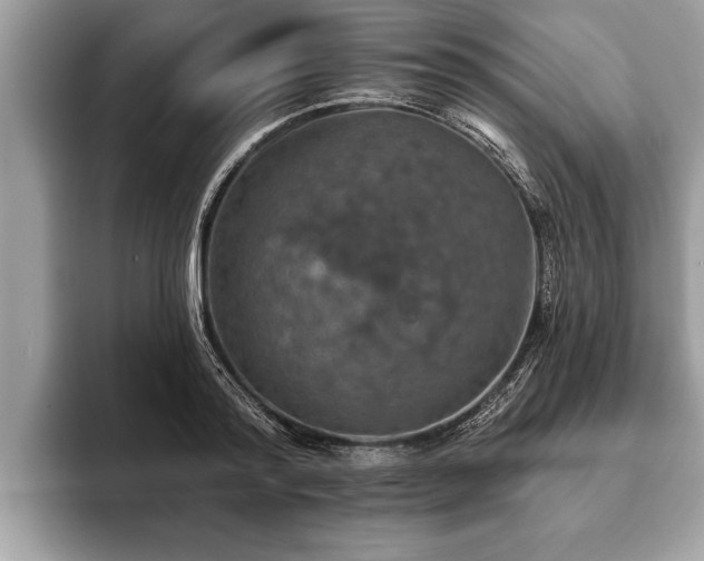X0000093400796200710190923