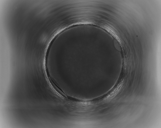 X0000093400797200710190923