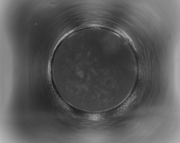 X0000093400798200710190923