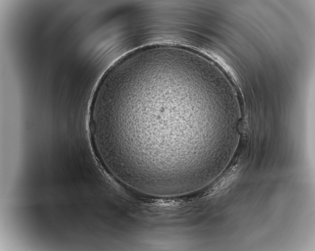 X0000093400799200710190923