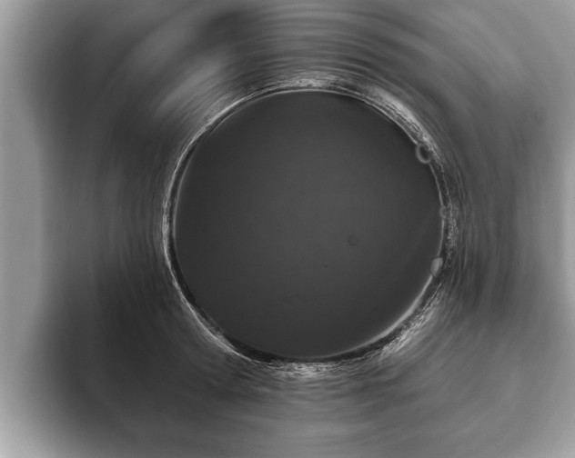 X0000093400802200710190923