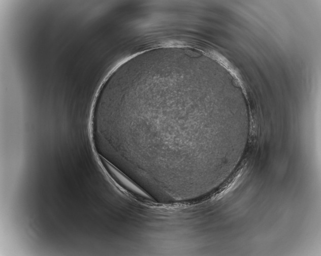 X0000093400803200710190923