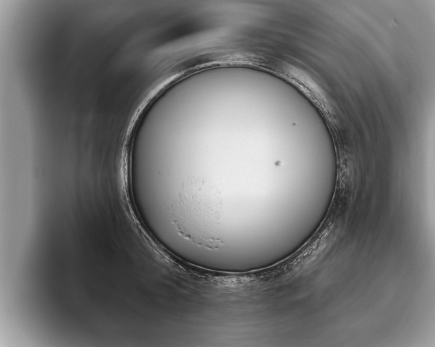 X0000093400804200710190923