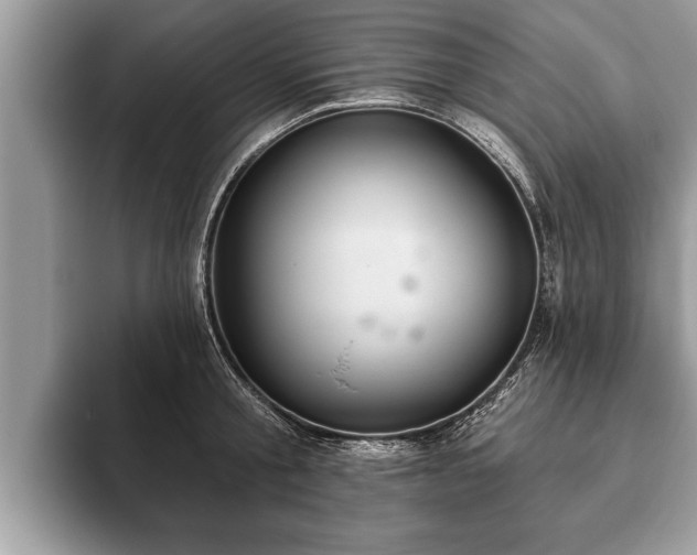X0000093400805200710190923