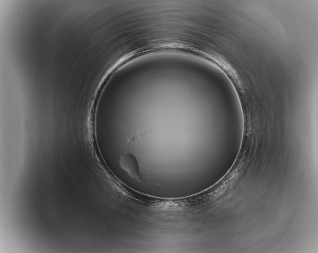 X0000093400806200710190923