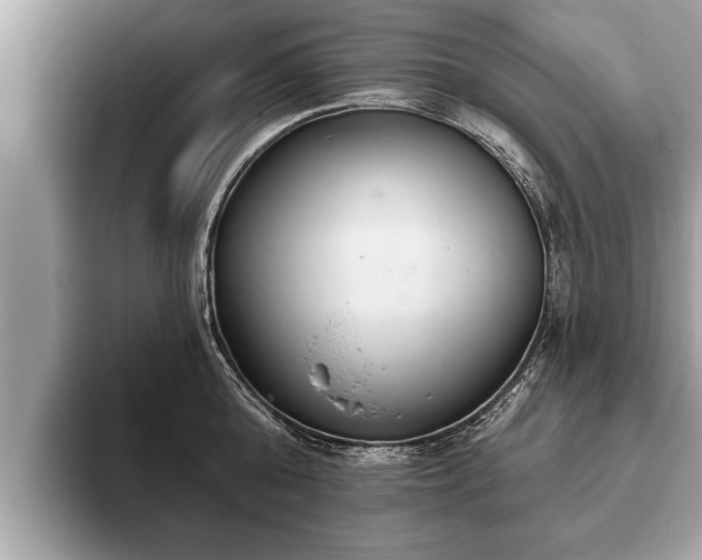 X0000093400808200710190923
