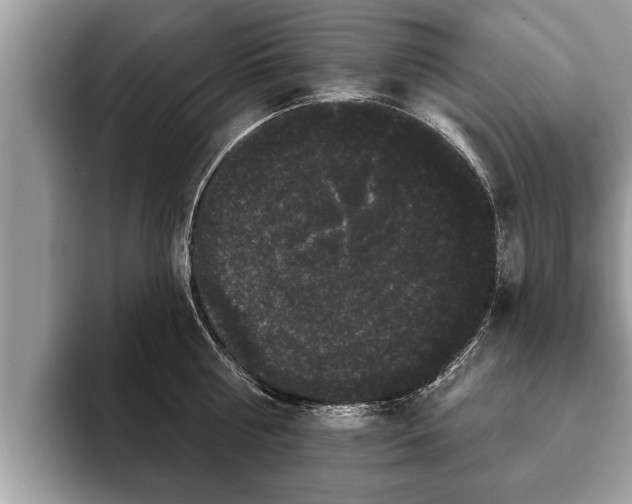 X0000093400810200710190923