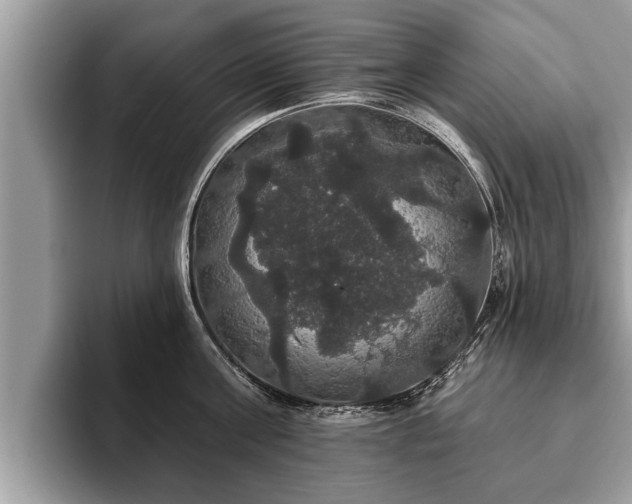 X0000093400811200710190923