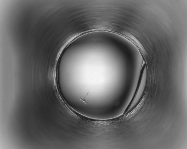 X0000093400812200710190923