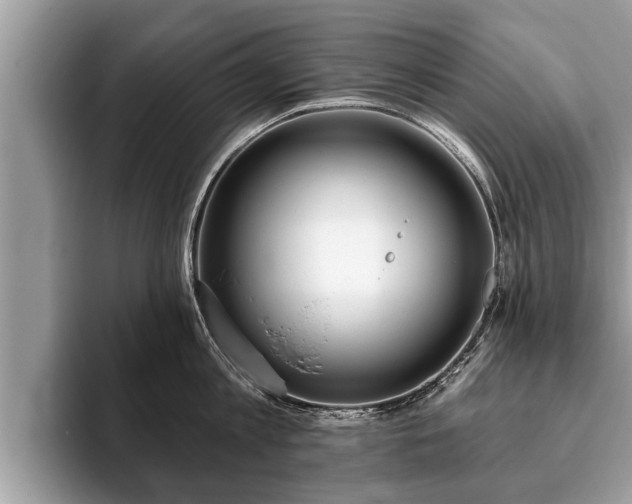 X0000093400813200710190923