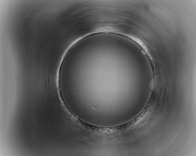 X0000093400815200710190923