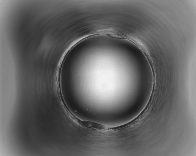 X0000093400816200710190923