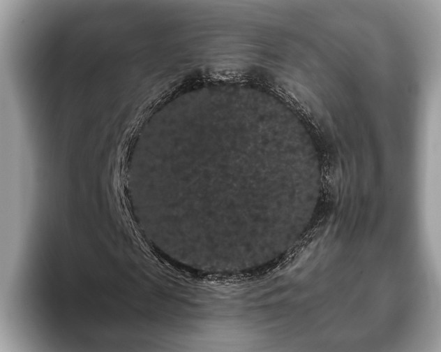 X0000093400817200710190922