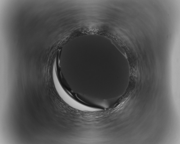 X0000093400818200710190922