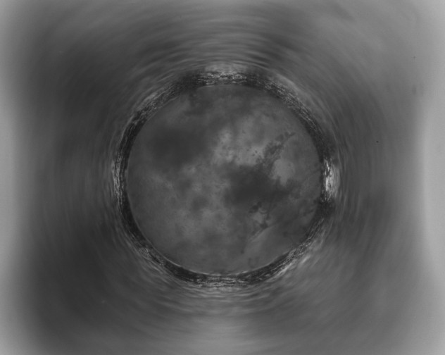 X0000093400819200710190922