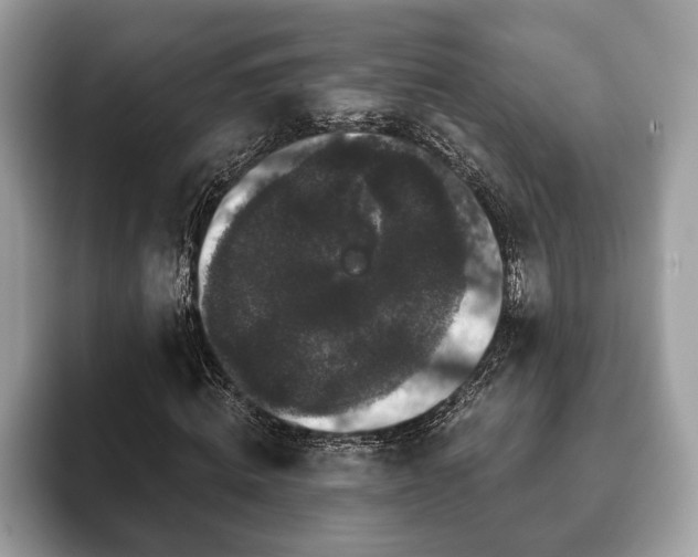 X0000093400820200710190922