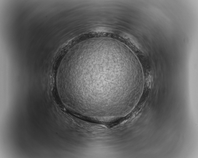 X0000093400821200710190922