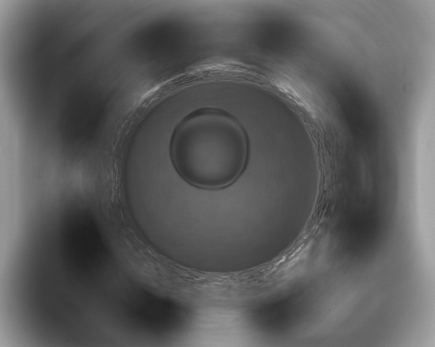 X0000093400822200710190922
