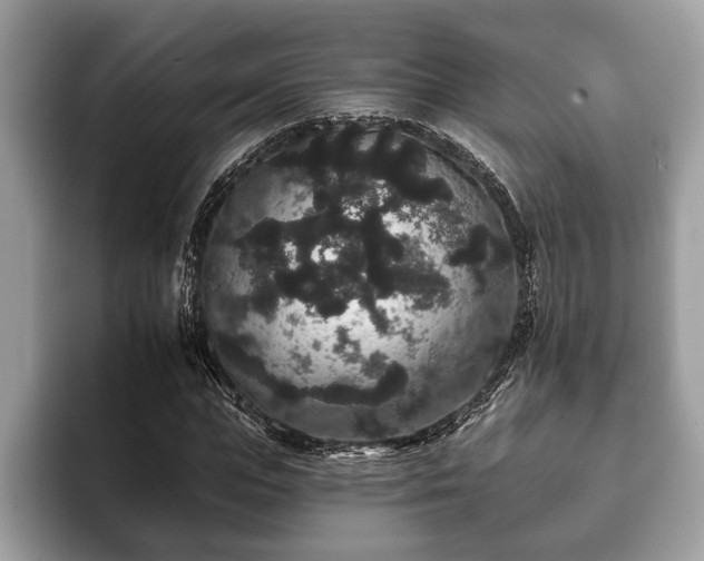 X0000093400823200710190922