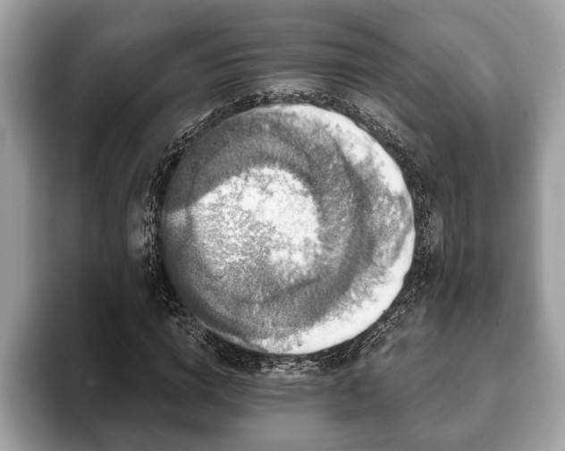X0000093400824200710190922