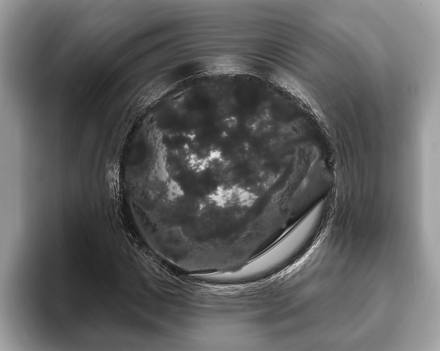 X0000093400825200710190922