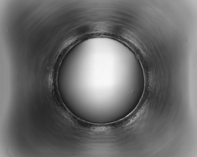 X0000093400826200710190922