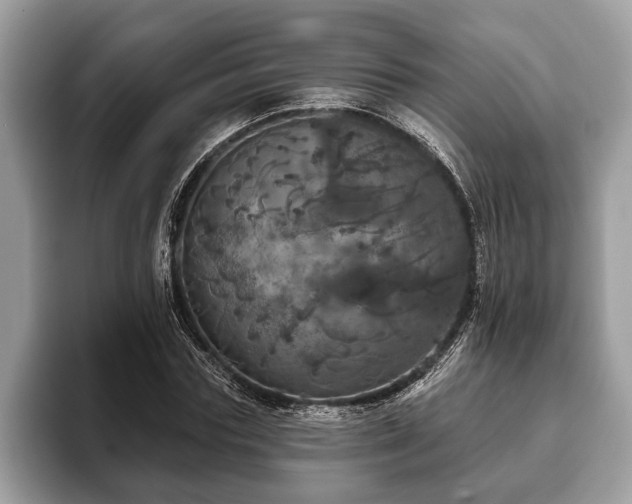 X0000093400827200710190922