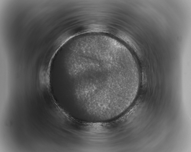 X0000093400828200710190922