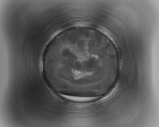 X0000093400829200710190922
