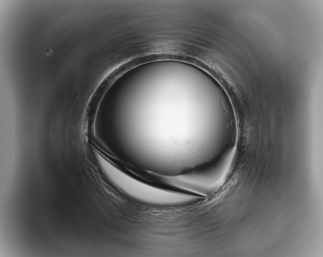 X0000093400830200710190922