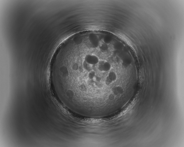 X0000093400831200710190922