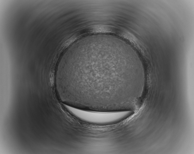 X0000093400833200710190922