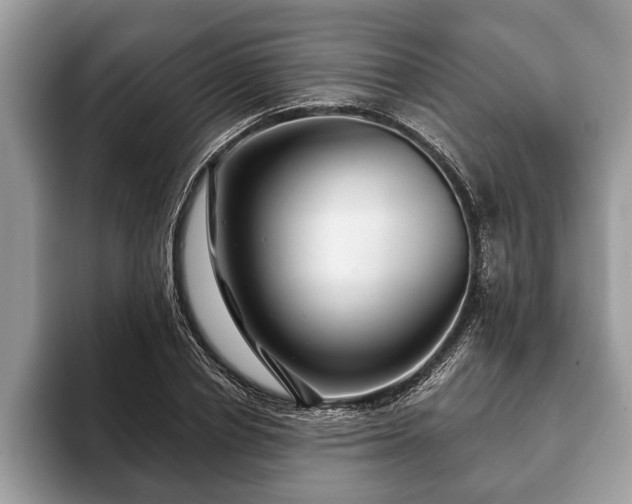 X0000093400834200710190922