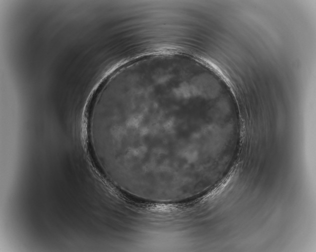 X0000093400835200710190922