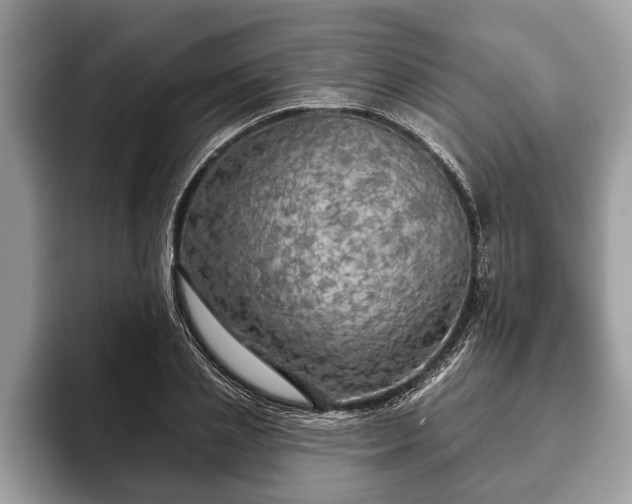 X0000093400837200710190922