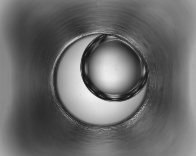 X0000093400838200710190922
