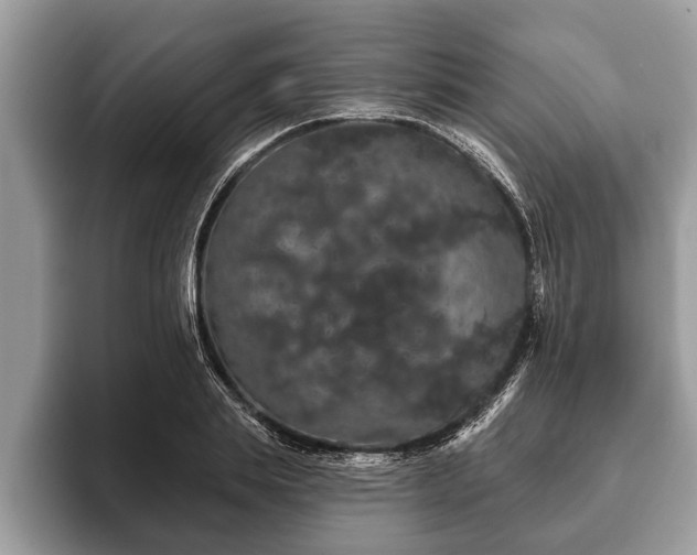 X0000093400839200710190922
