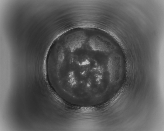 X0000093400840200710190922