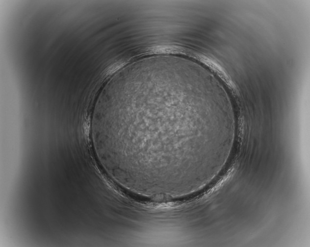 X0000093400841200710190922