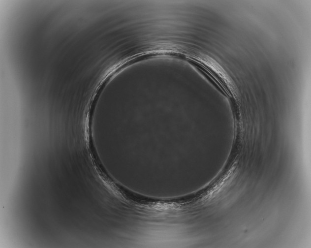 X0000093400842200710190922