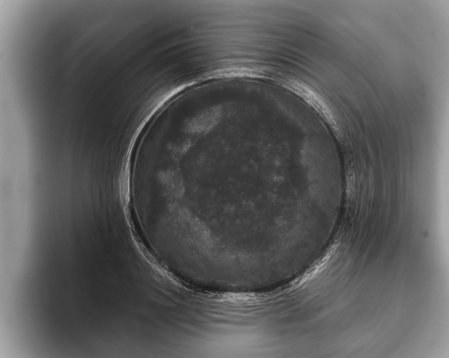 X0000093400844200710190923