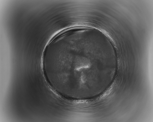 X0000093400846200710190923