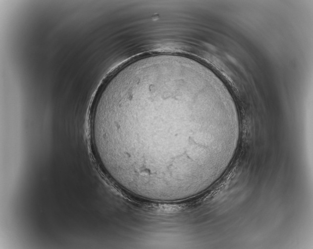 X0000093400848200710190923
