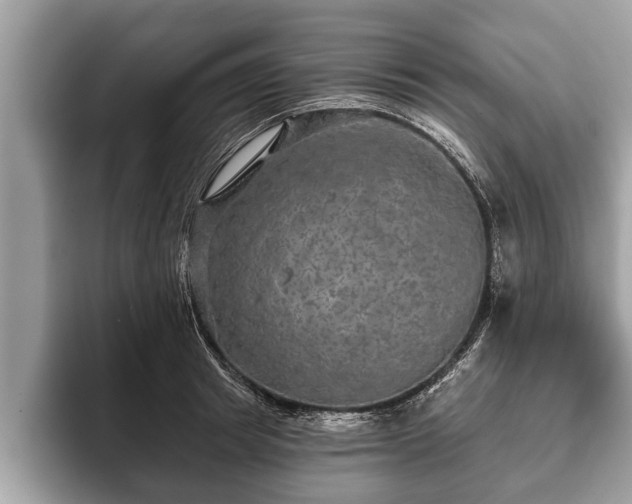 X0000093400849200710190923