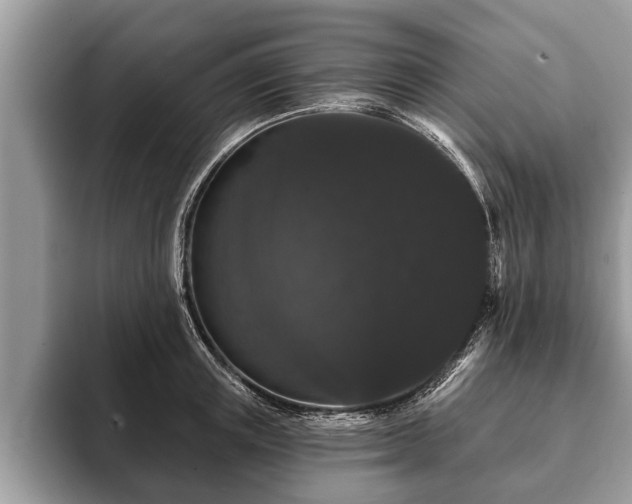 X0000093400851200710190923